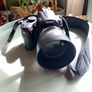 Nikon D5000 Image 2