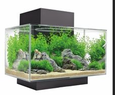 fluval edge aquarium fish tank