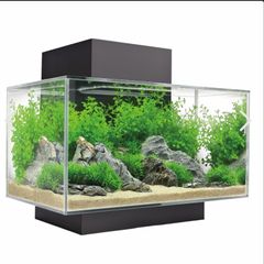 fluval edge aquarium fish tank