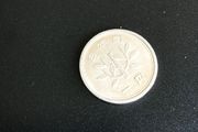 Old China 1 Fen coin