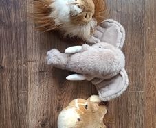 3 x Animal Wall Teddy