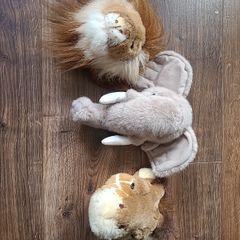 3 x Animal Wall Teddy