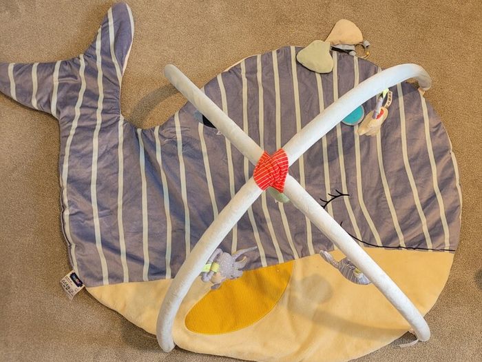 baby activity gym 0m+