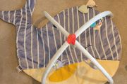 baby activity gym 0m+