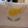 Cyprus Flag Image 2