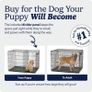 MidWest iCrate 18 inch Folding Dog Crate with Divider and Leak-Proof Tray - Brand New Image 3