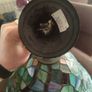 Tiffany Style Lamp Shade Image 2
