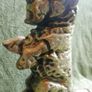 Vintage Cast Iron Scotty Dog Door Stop Image 3