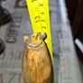 Old Large School Bell. Postage Available or Collection Image 3