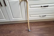 Walking stick