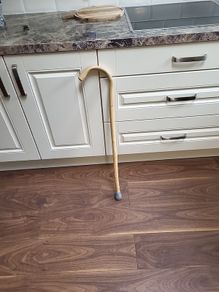 Walking stick