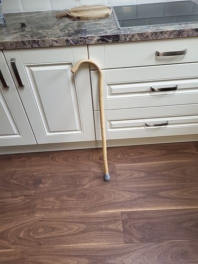 Walking stick
