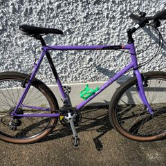 Vintage Raleigh Mirage