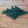 Christmas tree Image 5