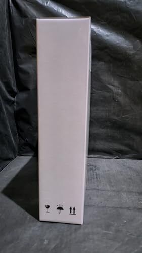 Modern LED Ceiling Light