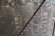 blackthorn walking stick