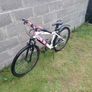 Girls Bicycle Image 3