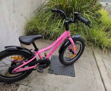 trek kids bike