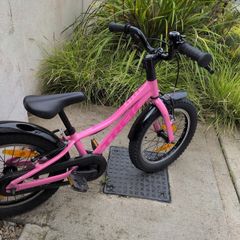 trek kids bike