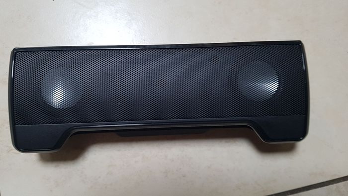 Travel speaker Sandstrom New