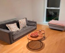 Grey Velvet Sofa and Poof