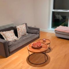 Mid-Century Style Grey Velvet Sofa