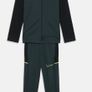 Nike Performance ACADEMY 25  - Tracksuit in Seaweed Green New Image 2