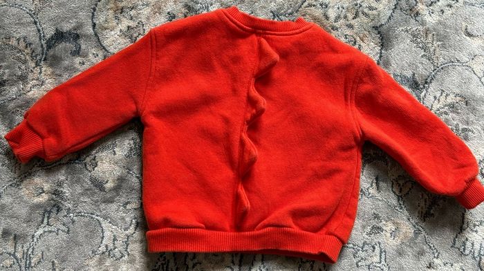 Leigh tucker dinosaur jumper 3-6m baby boy