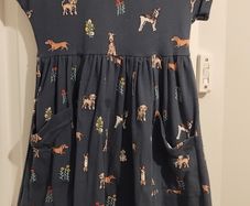John lewis dog dress age 7