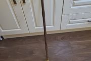 Walking stick new
