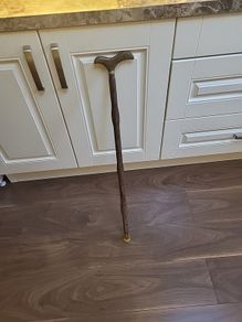 Walking stick new