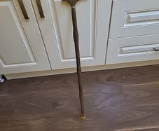 Walking stick new