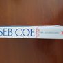 SEB COE - Running My Life. Image 2