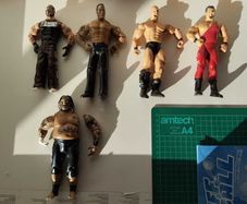 WWE Wrestling Action Figures  5 Figure Bundle