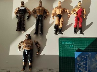 WWE Wrestling Action Figures  5 Figure Bundle