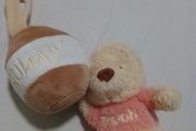 Winnie the Pooh