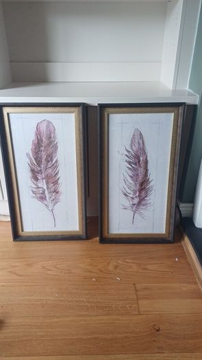 Framed Leaf Prints