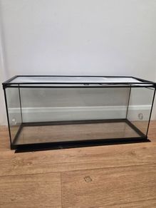 tank /vivarium