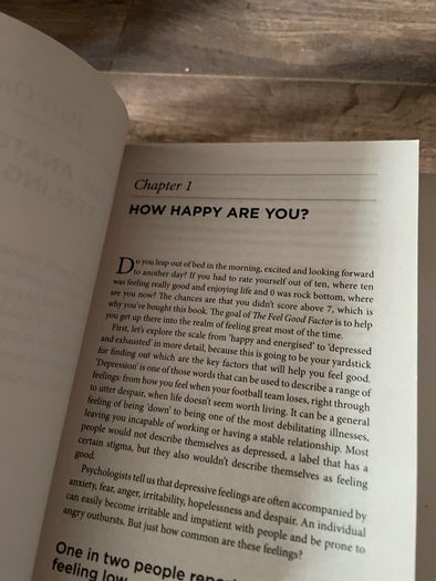 Patrick Holford The feel good Factor book