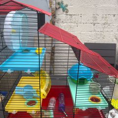cage with wheel,house and accessories