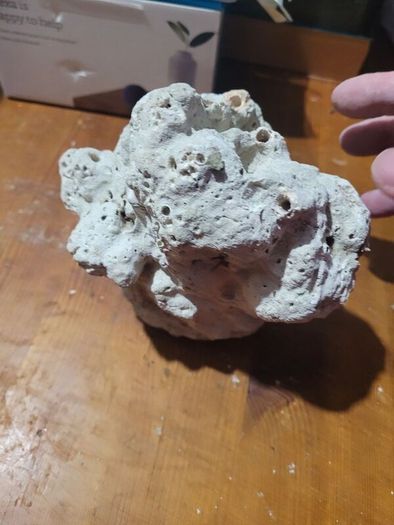 marine rocks