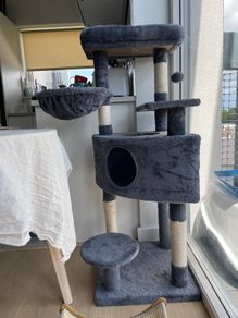 Cat Tree - unused