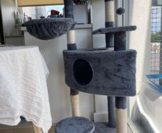 Cat Tree - unused
