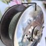 Vintage Alvey Fishing Reel Image 2