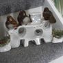 NEW Ceramic Robin Ponsettia Peace Candle Holder 12 euro Image 2