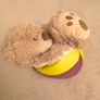 all in one soft toy Teddy bear/ball Image 5