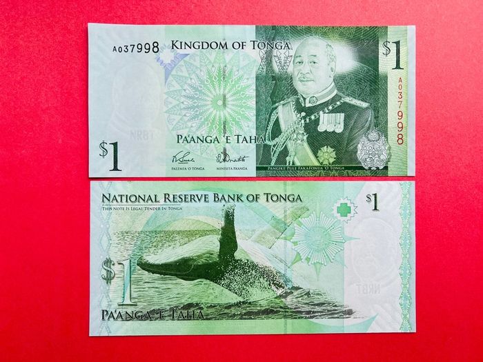 Tonga  1 Pa Anga  2009.  ( Uncirculated )