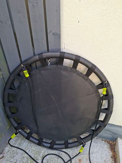New Nest Swing