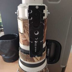 Canon 500MM F4 IS Lens Ver 1