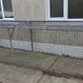 Dog run / chicken run Image 2